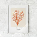 Plakat med stiliseret koralmotiv i rød på lys baggrund – "Coral".